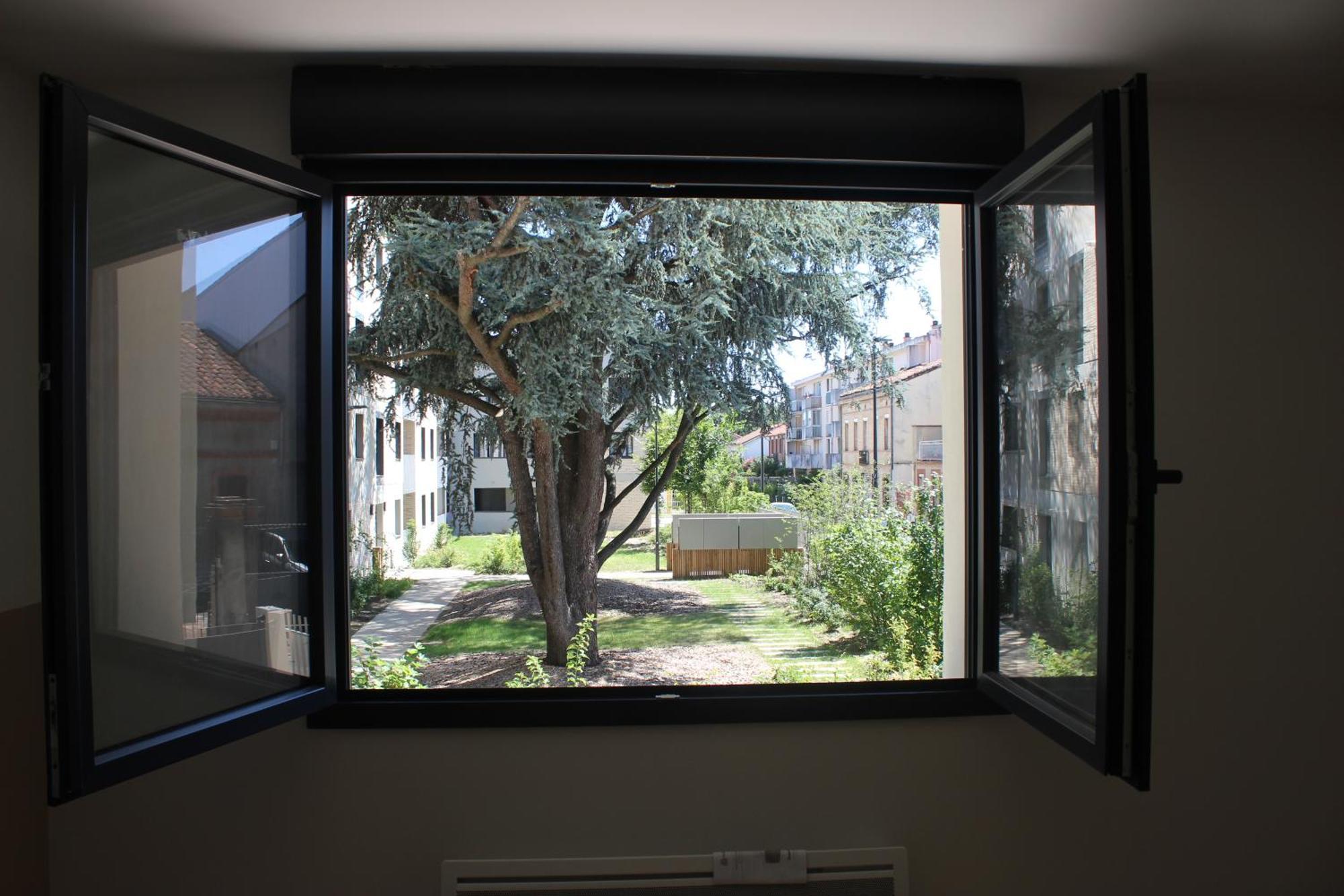 Elegante Maison De Ville Renovee Τουλούζη Εξωτερικό φωτογραφία